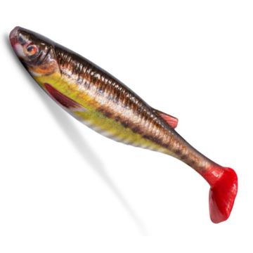 Shad Delphin Realix 3D, Minnow, 13cm, 2pcs/pack
