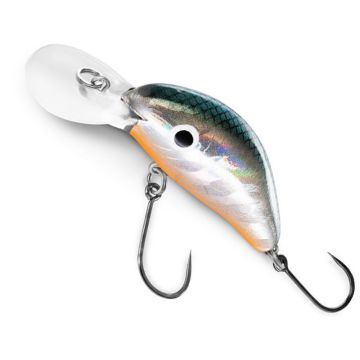 Vobler Delphin Wobby Trout-SH, Floating, Rainbo, 4cm, 4g