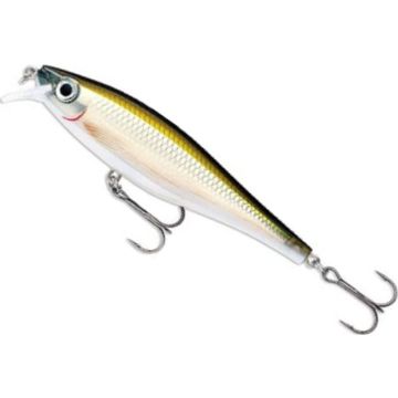 Vobler Rapala BX Minnow SMT 10cm/12g