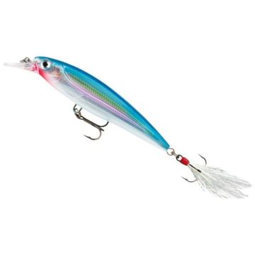 Rapala X-Rap lure, color SB, 8cm, 7g
