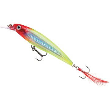 Rapala X-Rap lure, Color CLN, 10cm, 13g