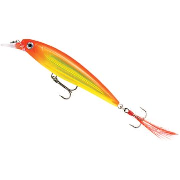Rapala X-Rap lure, Color HH, 10cm, 13g