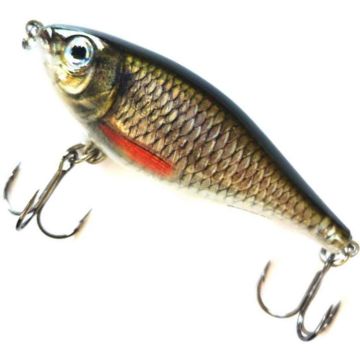 Rapala X-Rap Twitchin Shad lure, Color ROL, 8cm, 13g
