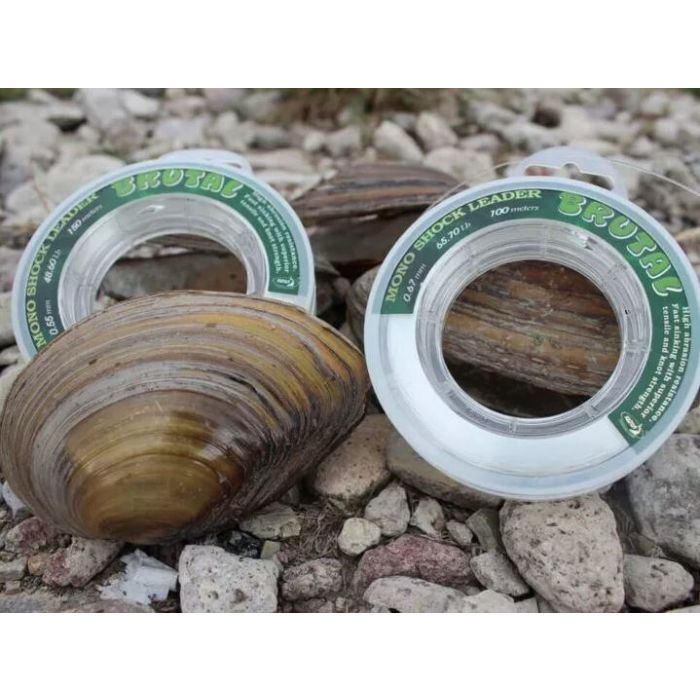 Fir Inaintas Monofilament Katran Brutal Shock Leader, Transparent, 100-150m 2