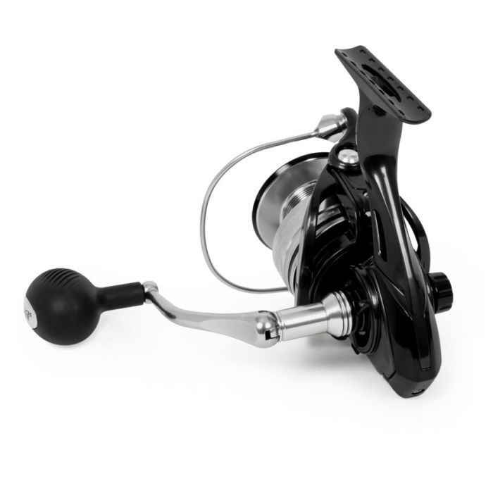 Mulineta Black Cat Shadow Cat 3
