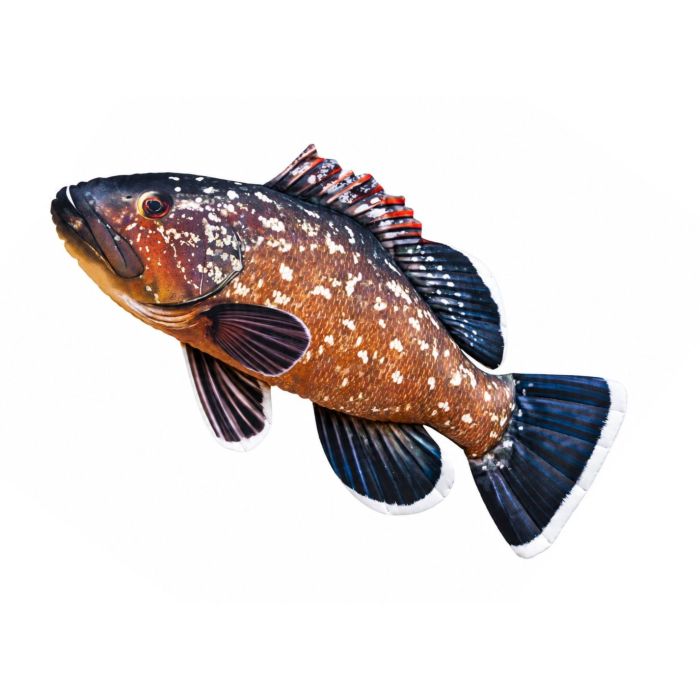 Perna Decorativa EnergoTeam Biban de Epava, 100cm