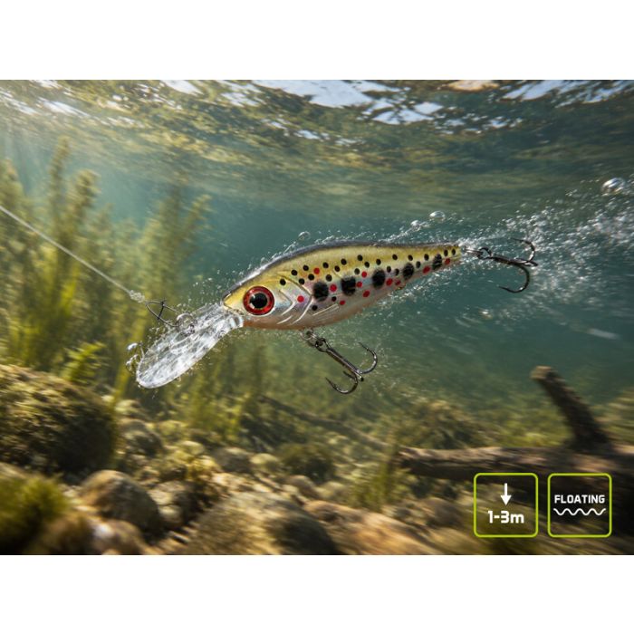 Delphin Wobby Crank-DP Floating Lure, Perchy, 7cm, 12g 2