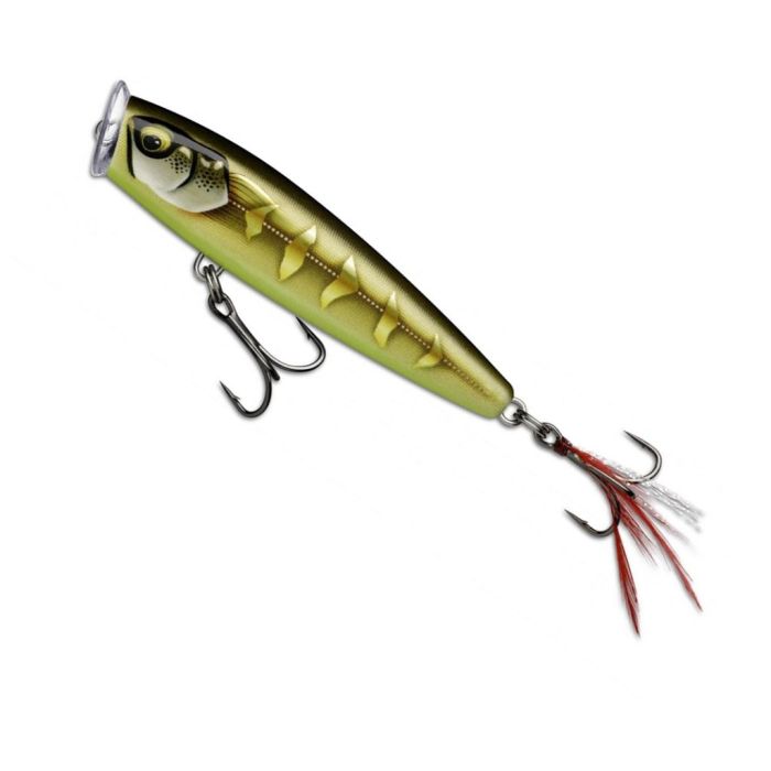 Rapala Skitter Pop Elite 75 Lure, Gilded Striped Grey Shiner, 7.5cm, 10g